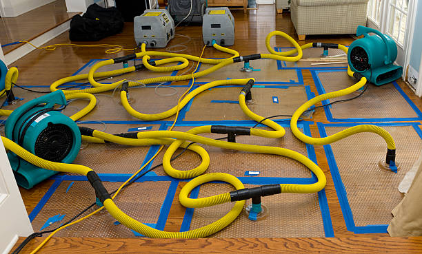 Professional Flood Damage Restoration technician working in Niantic, CT